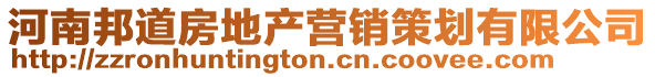 河南邦道房地產營銷策劃有限公司