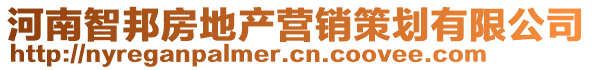 河南智邦房地產營銷策劃有限公司