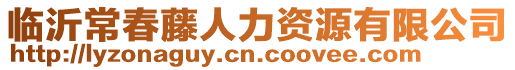 臨沂常春藤人力資源有限公司