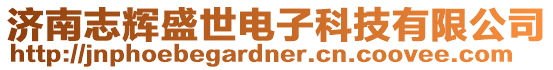 濟南志輝盛世電子科技有限公司