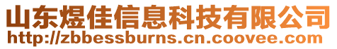 山東煜佳信息科技有限公司