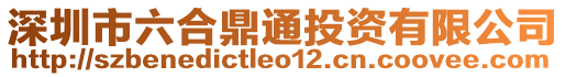 深圳市六合鼎通投資有限公司