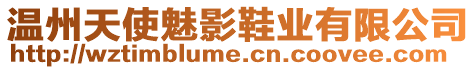 溫州天使魅影鞋業(yè)有限公司