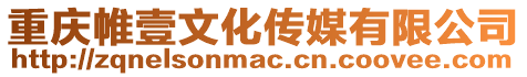 重慶帷壹文化傳媒有限公司