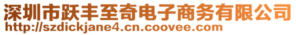 深圳市躍豐至奇電子商務有限公司