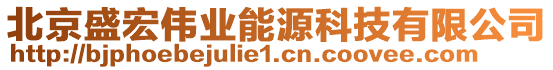 北京盛宏伟业能源科技有限公司