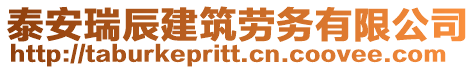 泰安瑞辰建筑勞務有限公司