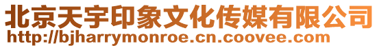 北京天宇印象文化傳媒有限公司