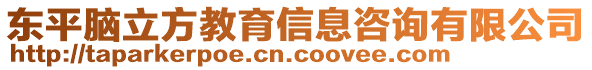 東平腦立方教育信息咨詢有限公司