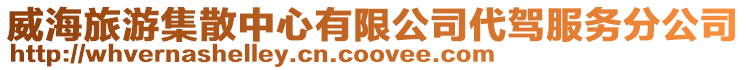 威海旅游集散中心有限公司代駕服務分公司