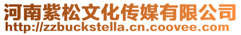 河南紫松文化傳媒有限公司
