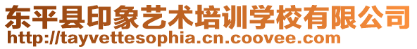 東平縣印象藝術培訓學校有限公司