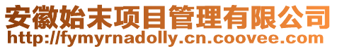 安徽始末項目管理有限公司