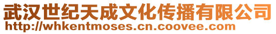武漢世紀天成文化傳播有限公司