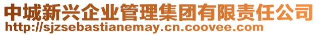 中城新興企業(yè)管理集團(tuán)有限責(zé)任公司
