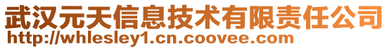 武漢元天信息技術(shù)有限責(zé)任公司