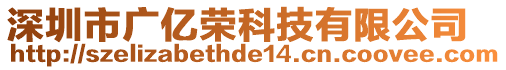 深圳市廣億榮科技有限公司