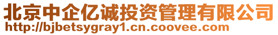 北京中企億誠投資管理有限公司