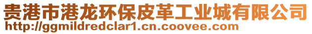 貴港市港龍環(huán)保皮革工業(yè)城有限公司