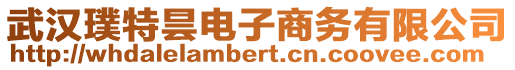 武漢璞特曇電子商務(wù)有限公司