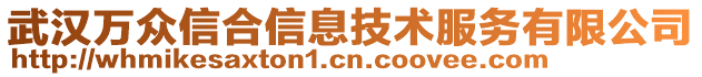 武漢萬眾信合信息技術(shù)服務(wù)有限公司