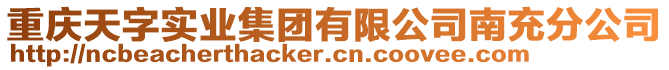 重庆天字实业集团有限公司南充分公司