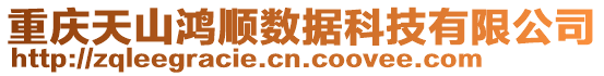 重慶天山鴻順數據科技有限公司