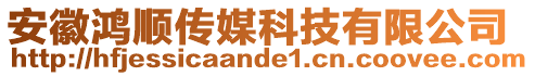 安徽鴻順傳媒科技有限公司