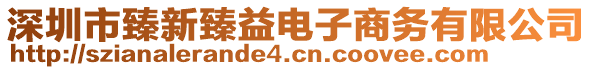 深圳市臻新臻益電子商務有限公司