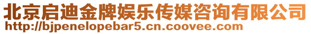 北京啟迪金牌娛樂傳媒咨詢有限公司