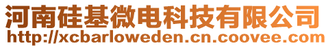 河南硅基微電科技有限公司