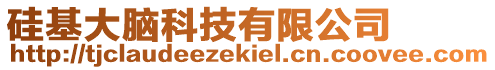 硅基大腦科技有限公司