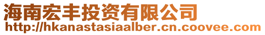 海南宏豐投資有限公司