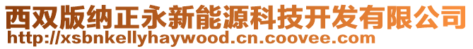 西雙版納正永新能源科技開發有限公司