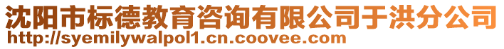 沈陽市標德教育咨詢有限公司于洪分公司