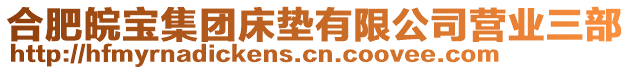 合肥皖寶集團床墊有限公司營業(yè)三部