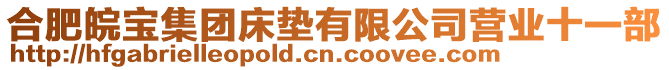 合肥皖寶集團床墊有限公司營業(yè)十一部