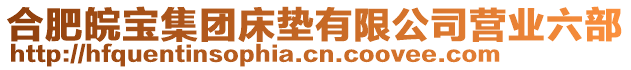 合肥皖寶集團(tuán)床墊有限公司營(yíng)業(yè)六部