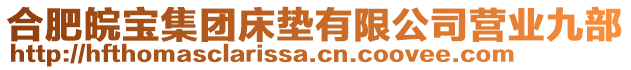 合肥皖寶集團床墊有限公司營業(yè)九部