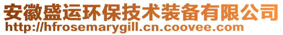 安徽盛運(yùn)環(huán)保技術(shù)裝備有限公司