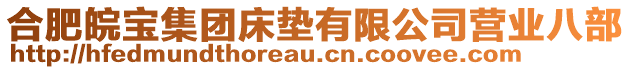 合肥皖寶集團(tuán)床墊有限公司營(yíng)業(yè)八部