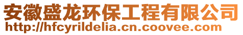 安徽盛龍環(huán)保工程有限公司