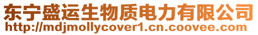 東寧盛運生物質電力有限公司