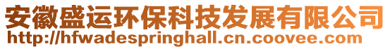 安徽盛運環(huán)保科技發(fā)展有限公司