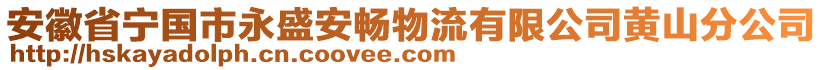 安徽省寧國市永盛安暢物流有限公司黃山分公司