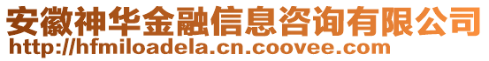 安徽神華金融信息咨詢有限公司