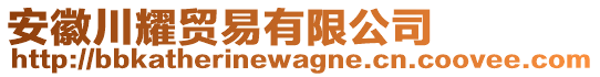 安徽川耀貿(mào)易有限公司