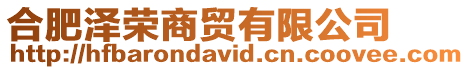 合肥澤榮商貿有限公司