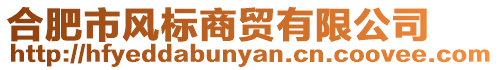 合肥市風(fēng)標(biāo)商貿(mào)有限公司