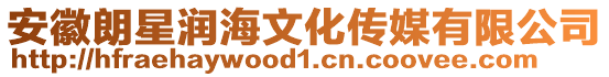 安徽朗星潤海文化傳媒有限公司